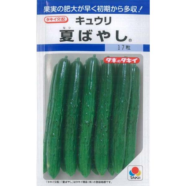 ^LCc LE  Ă΂₵ 350