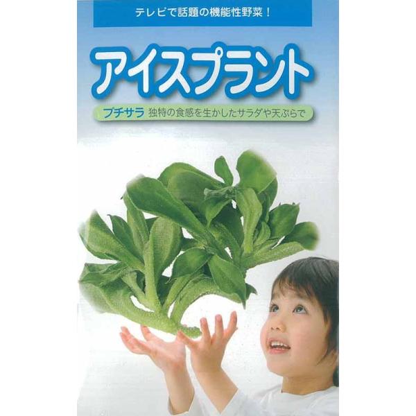 種 アイスプラント 苗の人気商品 通販 価格比較 価格 Com