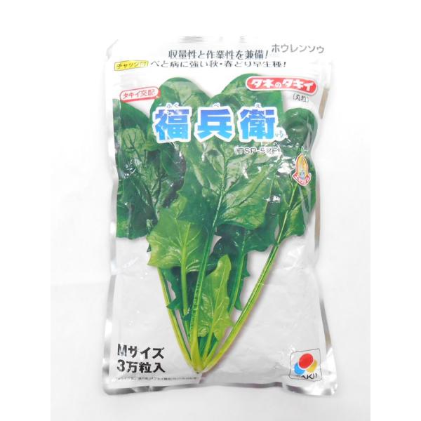 ほうれんそう出品 楽天市場】ほうれん草 【夏どりほうれん草】 種・小袋 （15ml
