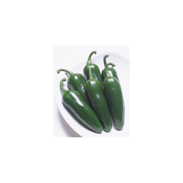 ^LCc s[}  ǂs[} s[Y 500