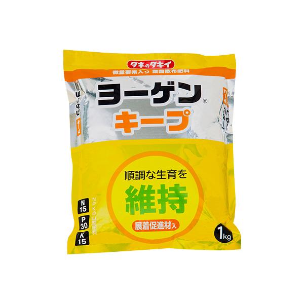 ^LCc tʎUzp엿 [QL[v 1kg