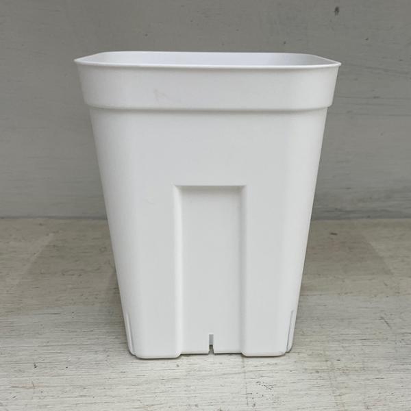 プレステラ 深鉢 120型 ホワイト 10個セット : イケダグリーンセンター