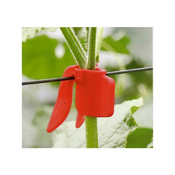 V[ yJLb` LEpUNbv 100Zbg