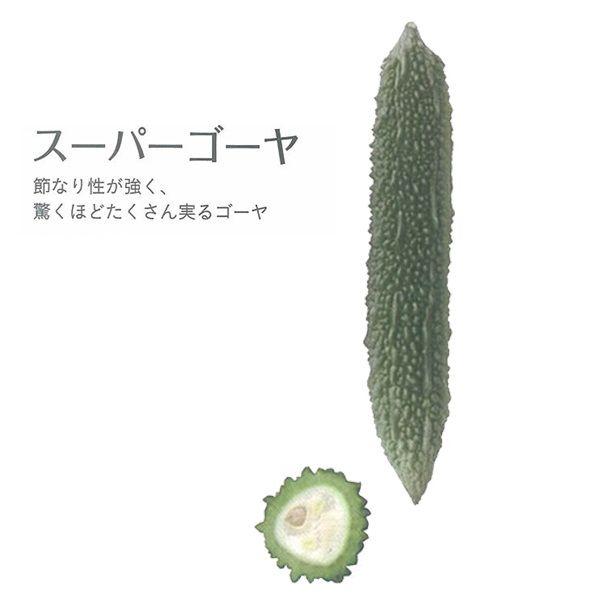 野菜の苗 スーパーゴーヤ デルモンテ 1株 予約販売 イケダグリーンセンターヤフー店 通販 Yahoo ショッピング