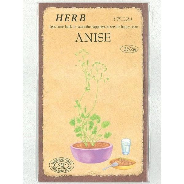 種子はクッキー、ケーキに利用されるハーブ