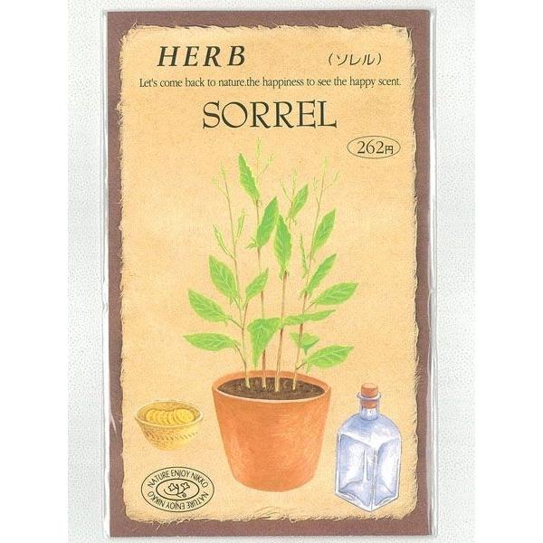 和名でスイバ。ソースやサラダに利用されるハーブ