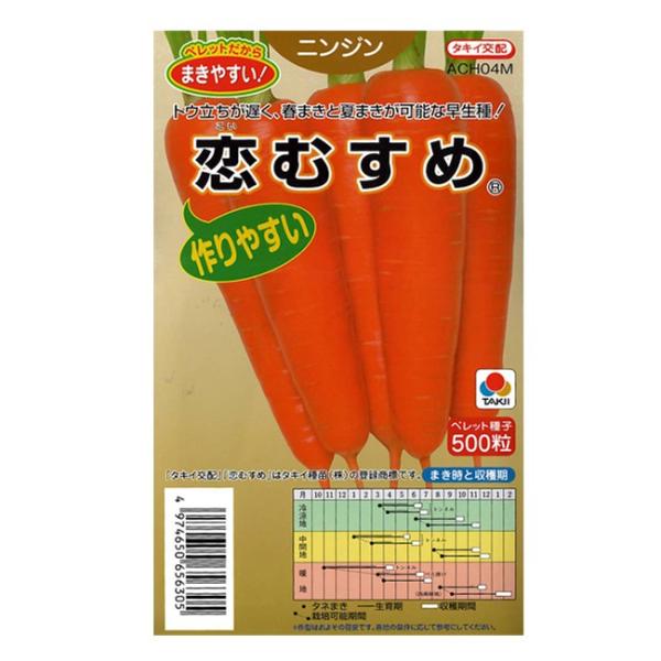 タキイ種苗の人参の種です。そろいのよい春夏作兼用の晩抽早生種●トンネル栽培に最適な晩抽早生種晩抽で低温着色性にすぐれ尻づまり良好な早生種。春どりトンネル栽培に最適。肌は滑らかでツヤがあり、高温下の収穫でも変色しにくい。●秀品率が高い根形はや...