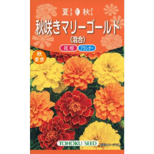 トーホク 花の種 秋咲きマリーゴールド（混合）