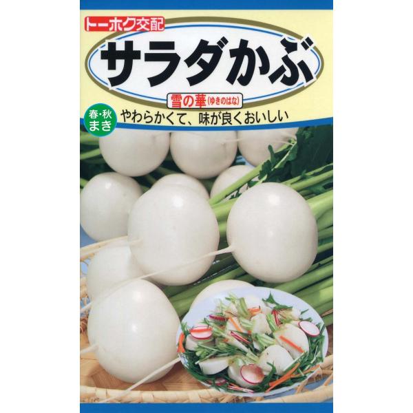 やわらかく甘味があり、極めて瑞々しい品種で、サラダなどの生食に向いています。緑のきれいな葉茎もやわらかくておいしく味わえます。小カブから中カブ位のサイズまで使えます。