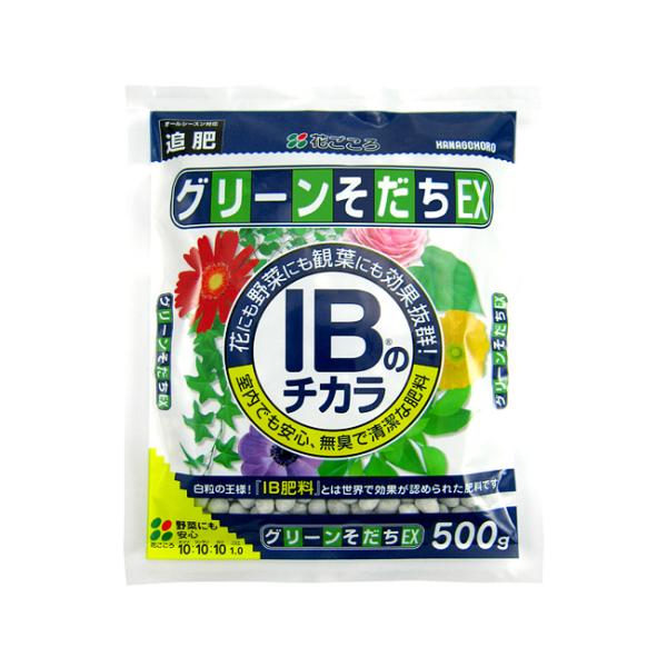 花ごころ IBのチカラグリーンそだちＥＸ 500g