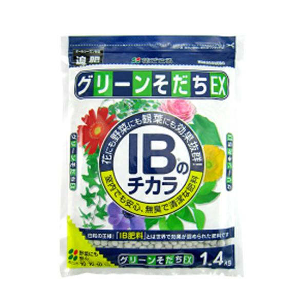 Ԃ IB̃`JO[dw 1.4kg