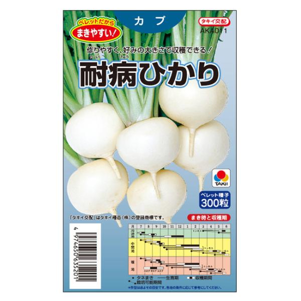 タキイ種苗 カブ 種 耐病ひかり ペレット小袋300粒