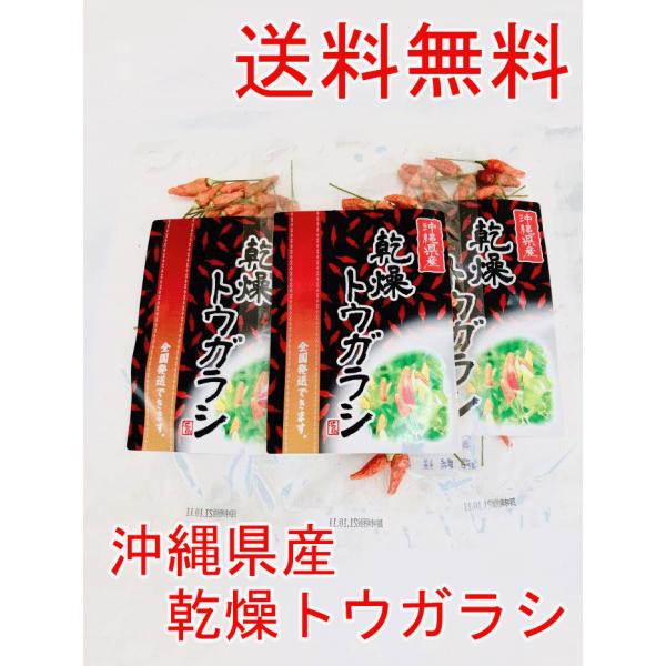 乾燥トウガラシ10g3個　唐辛子 乾燥唐辛子 唐辛子カレー 唐辛子カレー コーレーグース 泡盛 パスタ 和食 洋食