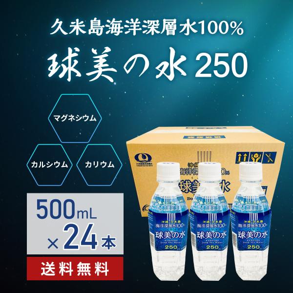 球美の水 硬度250 500ml24本 ミネラルウォーター 海洋深層水 マグネシウムたっぷりの水 健康 美容 ダイエット 沖縄土産 美味しい
