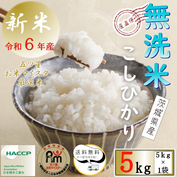 コシヒカリ 新米 令和6年産 贈り物 お米 5kg 送料無料 無洗米 コシヒカリ 新米 令和6年産 贈り物 お米 5kg 送料無料 無洗米