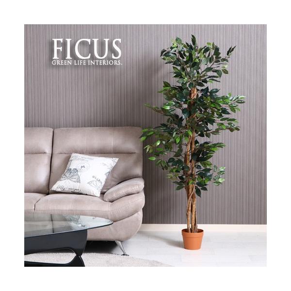 lHϗtA H150 ϗtA tBJX S̖