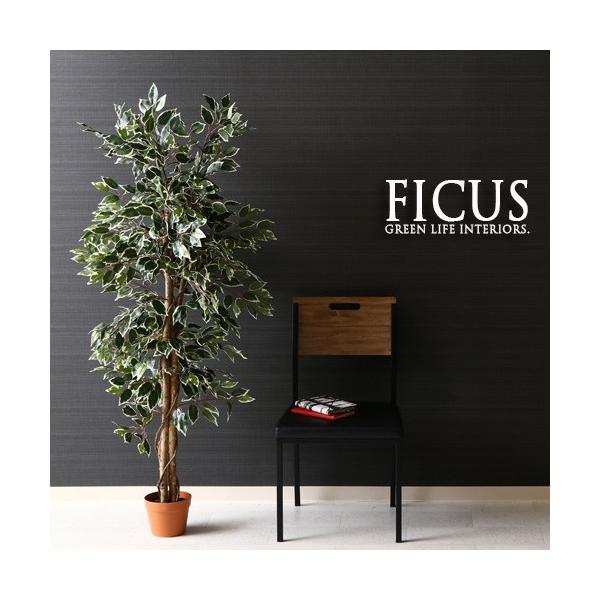 lHϗtA H160  ϗtA tBJX S̖