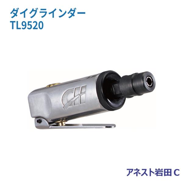 アネスト岩田Ｃ ダイグラインダー TL9520
