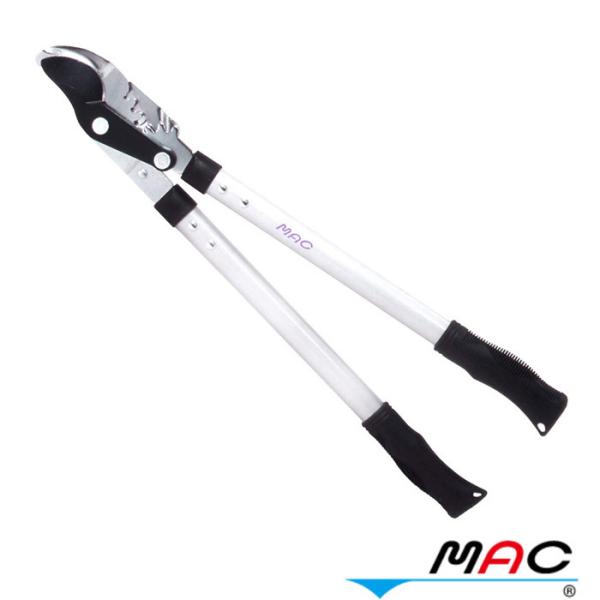  mac ͂̂Ȃ}؂ MAp[Ev ED-51 }bN HNM