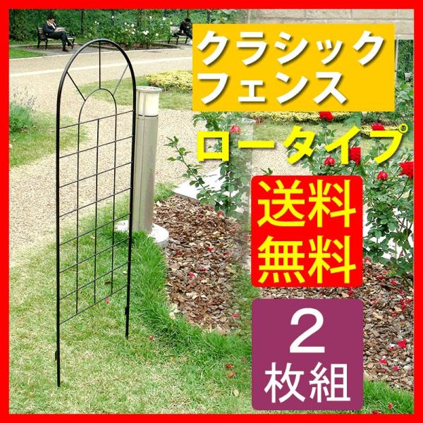 ACAtFX120(2g) YBIF-120-2P