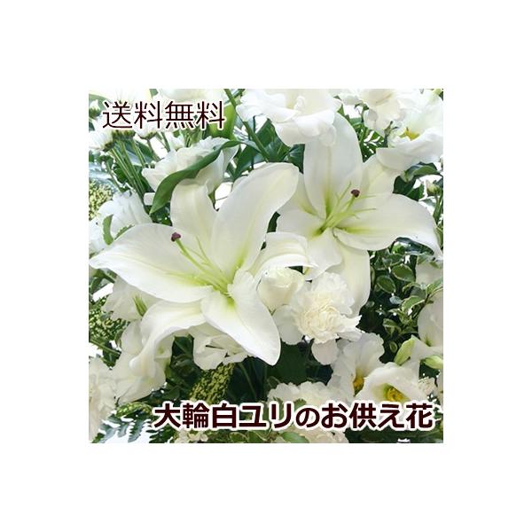 大輪 白ユリ お供え花「白ユリのお供えアレンジLL」お彼岸 墓参り お供え花 お悔やみ 命日 仏事 法事 法要 ペットのお供え ご仏前 ご霊前 墓参 喪中 喪中見舞い