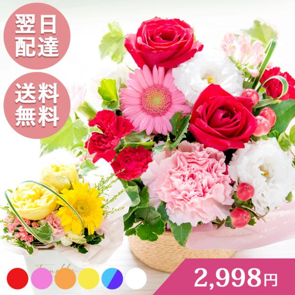 【用途】お祝い 誕生日祝い 誕生祝 誕生日プレゼント バースデーギフト 贈り物 ギフト 結婚祝い 結婚記念日 記念日 記念品 退職祝い 定年 退職 告白 プロポーズ 出産祝い 新築祝い 改築祝い 引っ越し祝い 電報 お供え お悔やみ お悔み...