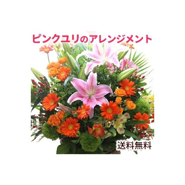 大輪 お祝い花 「ピンクユリのお祝い花L」 フラワーアレンジメント 花 誕生日 お祝い 発表会 記念日 結婚祝い 出産祝い ギフト そのまま飾れる  敬老の日