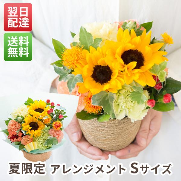 夏季限定 夏限定 アレンジメント Sサイズ 花 誕生日 お祝い ギフト プチギフトにおすすめ お祝い ペット プレゼント お盆・帰省