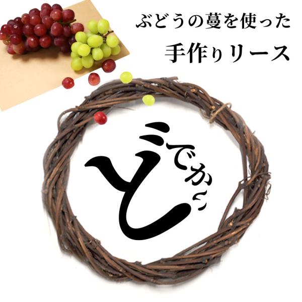    g i` [X R Lbg y  rO t Mtg 傫  Ԃǂ ̃[X er ObhI[jO