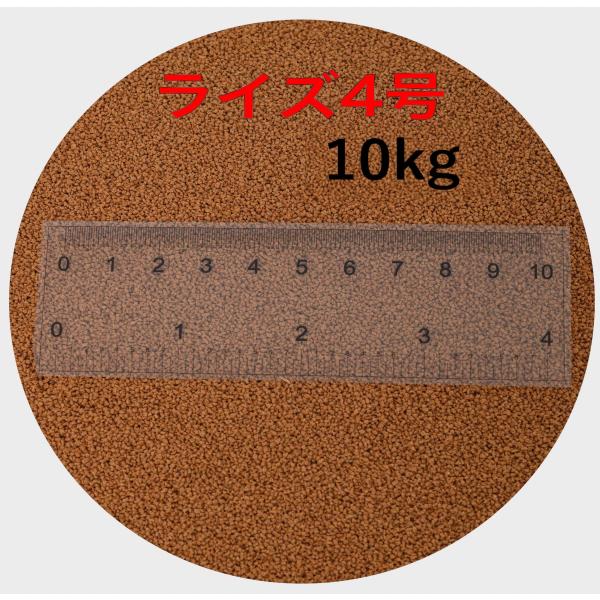 日清丸紅飼料 日清丸紅飼料ライズ4号  10kg (5kg×2袋） (粒径0.58〜0.84mm)  メダカ めだか エサ 餌 おとひめ ハイグロウ リッチ