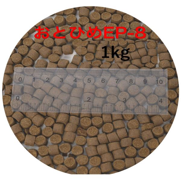日清丸紅飼料 おとひめEP8(約6.8mm〜約8.0mm) 1kg(500g×2袋 日清丸紅飼料 おとひめEP8(約6.8mm〜約8.0mm) 1kg(500g×2袋