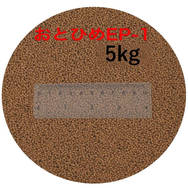日清丸紅飼料 魚の餌 おとひめEP1(約1.3〜約1.7mm)  5kg(500g×10袋) 沈降性(沈下性) 金魚 アロワナ 肉食魚に