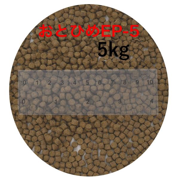 日清丸紅飼料 おとひめEP5(約4.3mm〜約5.1mm)  5kg(500g×10袋) 沈降性(沈下性) 金魚 アロワナ 肉食魚に