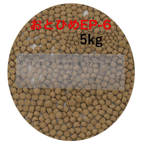 日清丸紅飼料 おとひめEP6(約5.4mm〜約6.4mm)  5kg(500g×10袋) 沈降性(沈下性) 金魚 アロワナ 肉食魚に