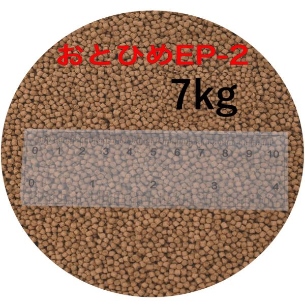 日清丸紅飼料 おとひめEP2(約1.9〜約2.0mm)  7kg(500g×14袋) 沈降性(沈下性) 金魚 アロワナ 肉食魚に