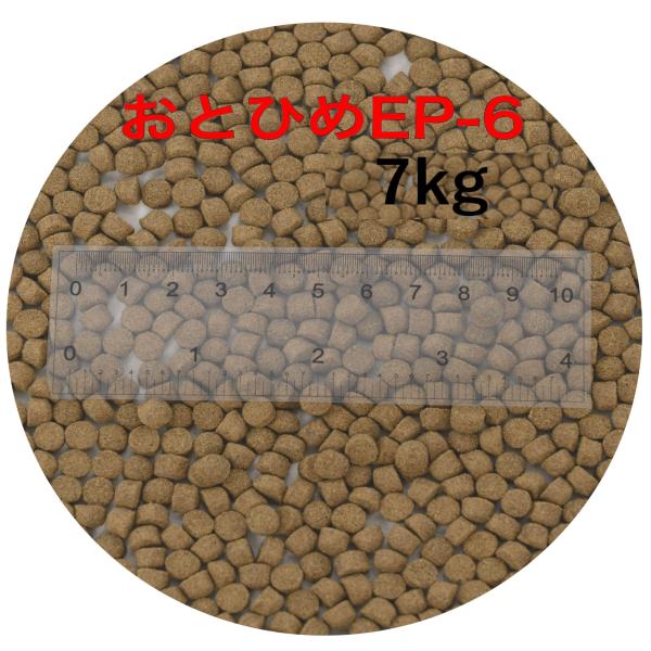 日清丸紅飼料 おとひめEP6(約5.4mm〜約6.4mm)  7kg(500g×14袋) 沈降性(沈下性) 金魚 アロワナ 肉食魚に