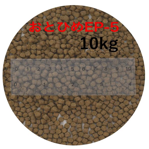 日清丸紅飼料 おとひめEP5(約4.3mm〜約5.1mm)  10kg(500g×20袋) 沈降性(沈下性) 金魚 アロワナ 肉食魚に