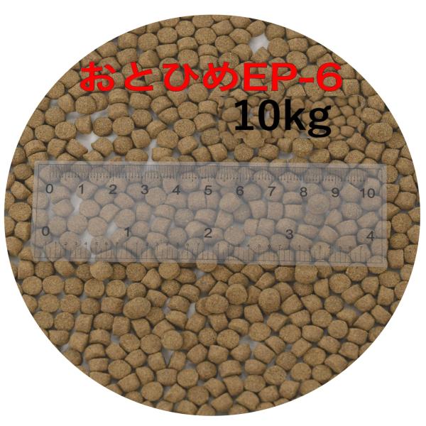 日清丸紅飼料 おとひめEP6(約5.4mm〜約6.4mm)  10kg(500g×20袋) 沈降性(沈下性) 金魚 アロワナ 肉食魚に