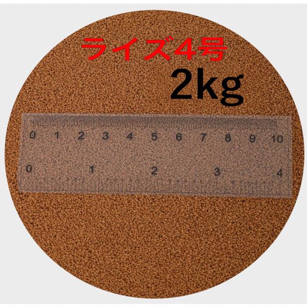 日清丸紅飼料 ライズ４号2kg