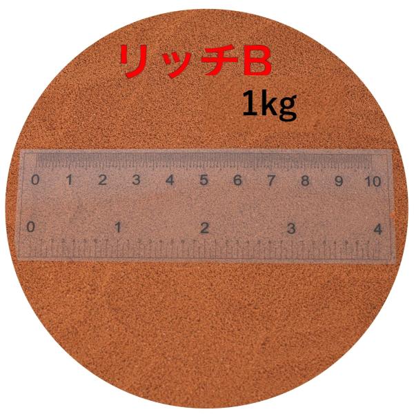 リッチB 1kg (500g×2) メダカ 金魚 熱帯魚の餌 ハイグロウ おと リッチB 1kg (500g×2) メダカ 金魚 熱帯魚の餌 ハイグロウ おと