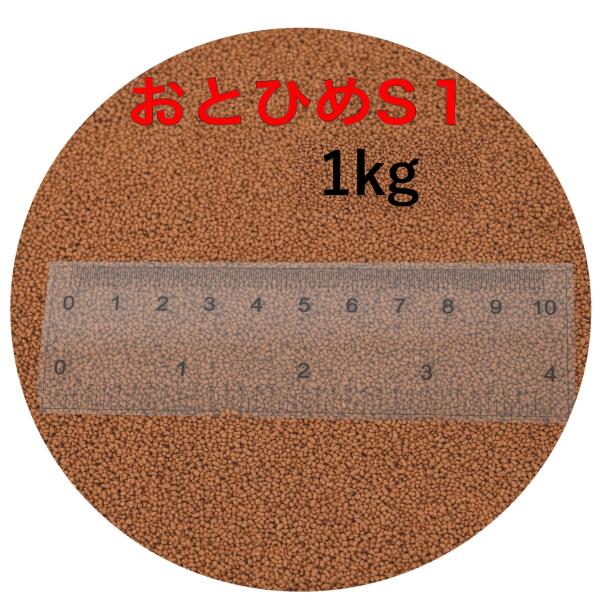 注文確認と入金確認は2日に1回の為、当日中の連絡が無い可能性がございます。(なるべく毎日確認はします）メダカ 金魚 熱帯魚 鯉等の観賞魚におすすめです。注文が集中している場合など対応が追い付かず連絡が深夜~翌日になる場合がございます。配送方...