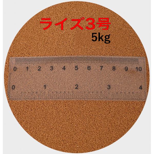 日清丸紅飼料 ライズ3号 5kg (5kg×1袋) (粒径0.36〜0.65mm)  浮上性  新品未開封  メダカ 金魚 熱帯魚 鯉