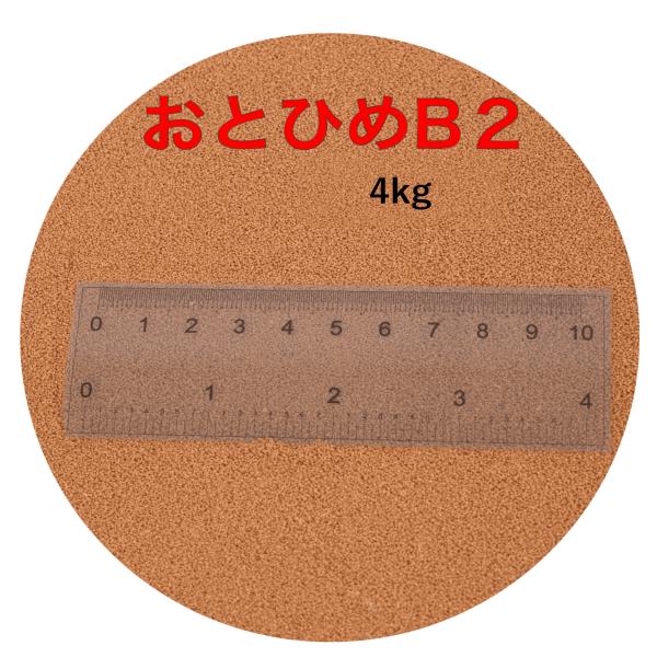 日清丸紅飼料 おとひめ Ｂ２ ２ｋｇ 日清丸紅飼料 おとひめB2 2kg×2袋(4kg) (0.36〜0.62mm) メダカ、金魚