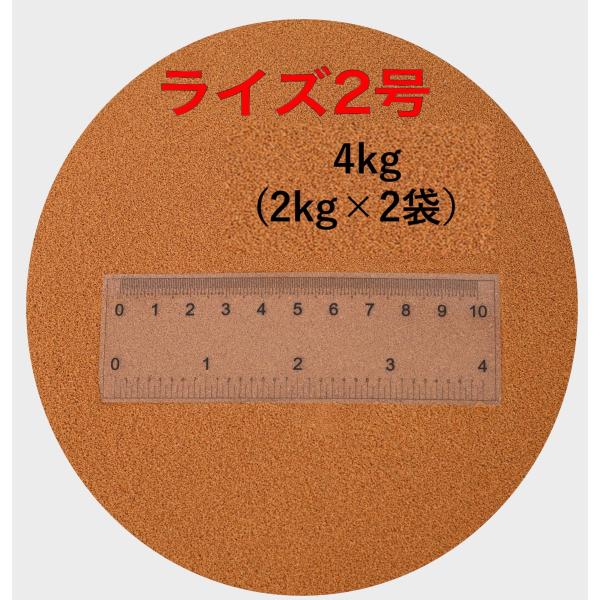 日清丸紅飼料 ライズ2号 2kg ×2袋(4kg) 新品未開封 粒径約0.36mm