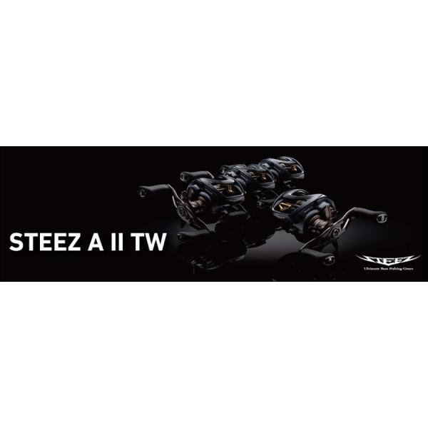 ダイワ、スティーズA2TW1000XH ダイワ ベイトリール スティーズ A2 TW 1000XH(右): 釣具の