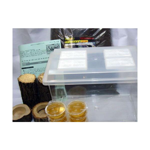 ■カブトムシ成虫飼育産卵セット　ＫＡ１０Ｌ　セット内容●飼育ケース　コバエシャッター大（カブトムシ飼育の問題点のコバエの進入をシャットアウト！）●カブトムシ飼育・産卵マット１０リットル（カブトムシ専用菌床発酵産卵マット）注！カブトムシ産卵マ...