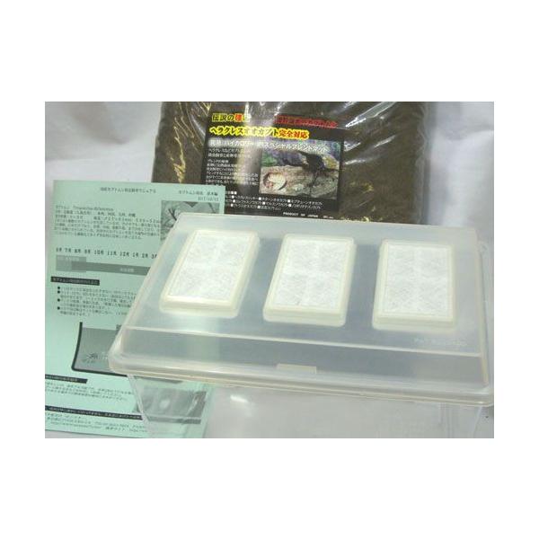 カブトムシ幼虫飼育セットＭセット内容●飼育ケース　コバエシャッター中（カブトムシ飼育の問題点のコバエの進入をシャットアウト！）●カブトムシ飼育・産卵マット１０リットル（カブトムシ専用菌床発酵産卵マット）注！カブトムシ産卵マットは性質上、発酵...