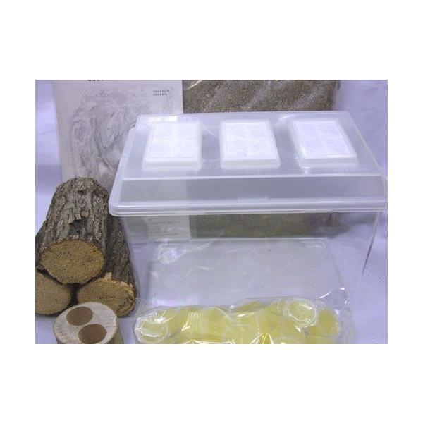 クワガタ飼育・産卵セットＭ</strong>　セット内容  ●飼育ケース　コバエシャッター中（オオクワガタ飼育の問題点のコバエの進入をシャットアウト！）  ●クワガタ飼育マット5リットル　（くぬぎ、こなら使用100％クワガタにや...