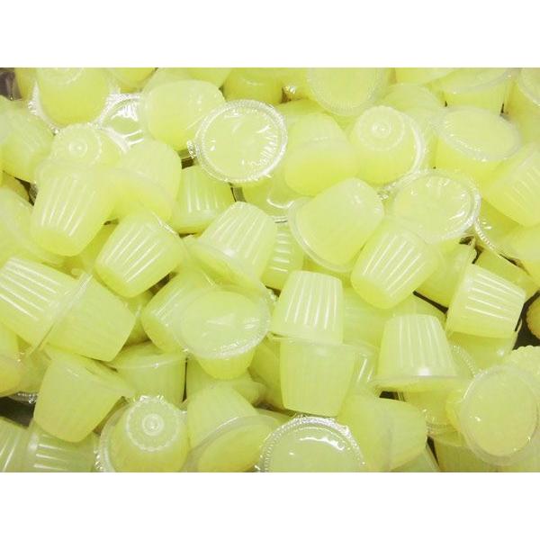 すこやかゼリー16g 50個入り (純国産) : モンスターYahoo!店