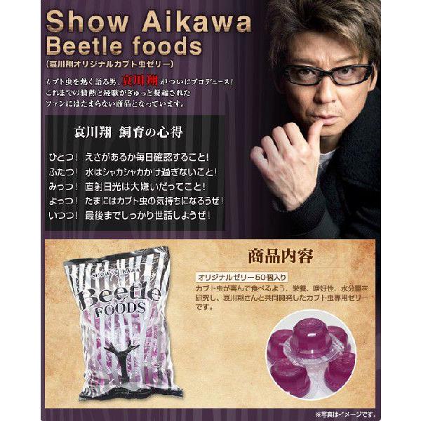 哀川翔 オリジナルカブト虫ゼリー 16g ワイドカップ 50個入 Syoj モンスターyahoo 店 通販 Yahoo ショッピング